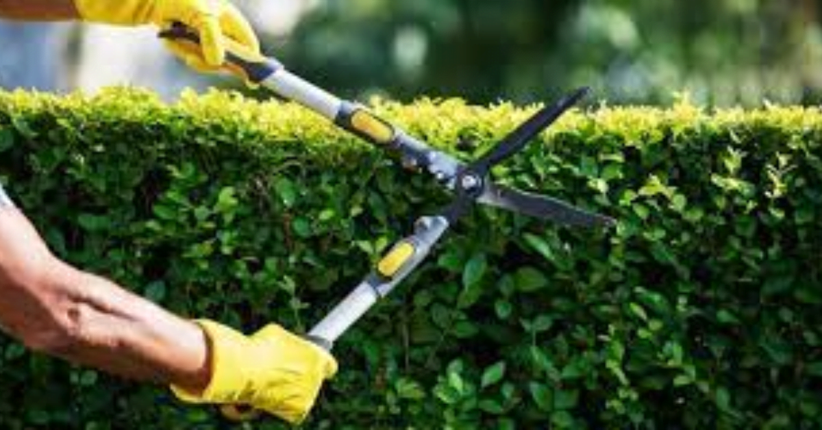 Gardening Services