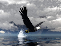 Eagle Flying Wallpaper