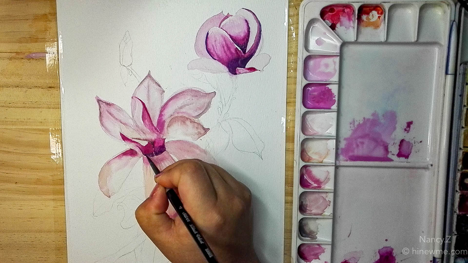 How to draw watercolor magnolia flowers step by step tutorial, come to see my online class