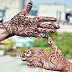 Mehndi Palm Design: A Beautiful and Traditional Way to Decorate Your Hands