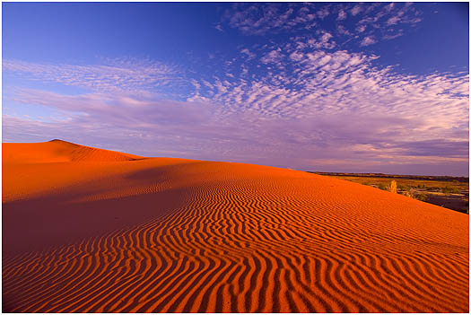 Simpson Desert of Australia