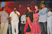 Rudramadevi warangal audio launch-thumbnail-32