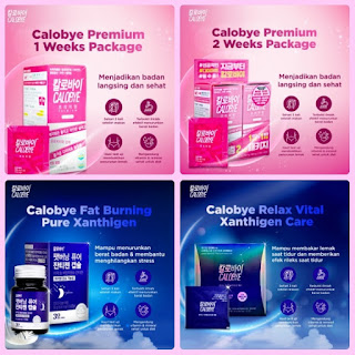 produk obat diet calobye premium diet success plan