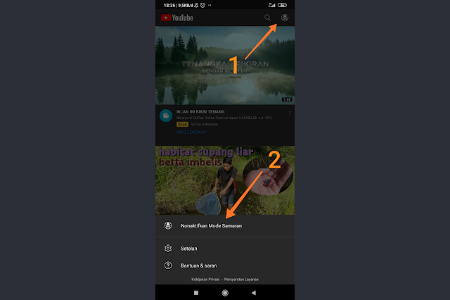 Nonton Video YouTube di Android Dengan Mode Samaran