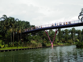 visite de Gardens by the Bay Singapour