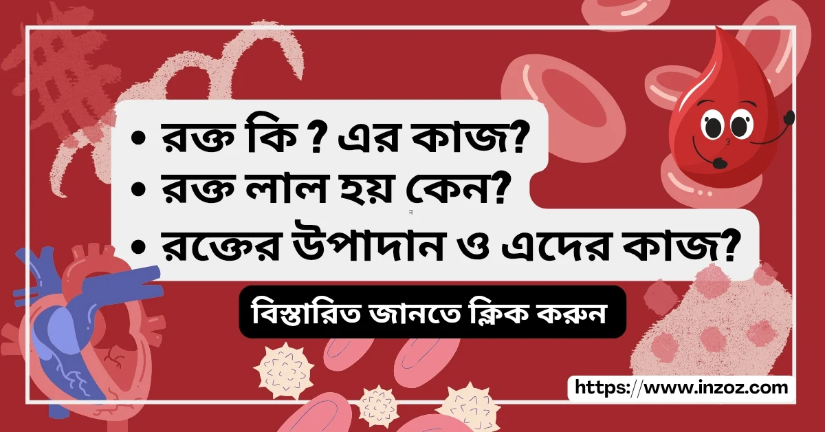 রক্ত কি ? এর কাজ? রক্ত লাল হয় কেন? রক্তের উপাদান ও এদের কাজ?