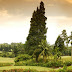 Jagorawi Golf and Country Club ; Lapangan Golf Bogor