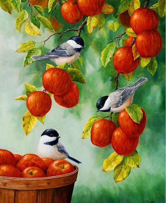 pinturas-de-aves