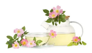 What is  bloom Nutrition?