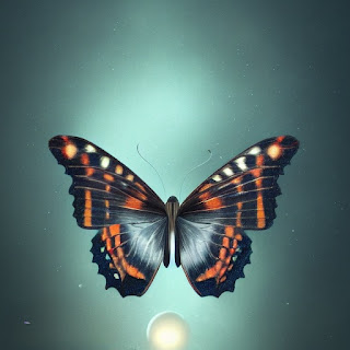 Beautiful Butterfly flying pic