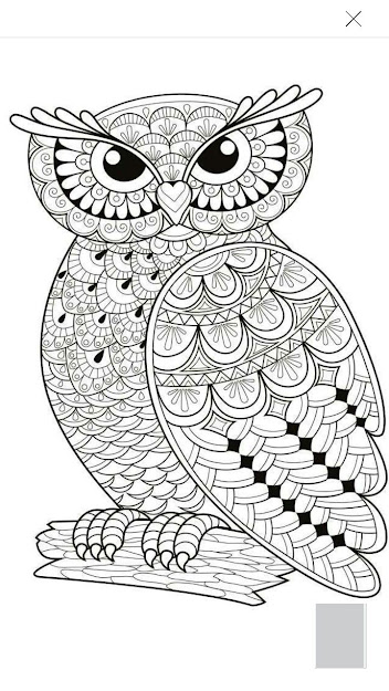Decorative Owl Adult Antistress Coloring Page Black And White Hand Drawn  Illustration For Coloring Book  Stock Vector From The Largest Library Of  