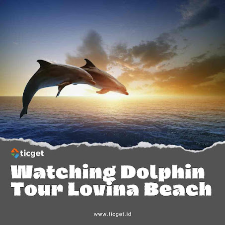 bali-private-tour-sunrise-dolphin-lovina