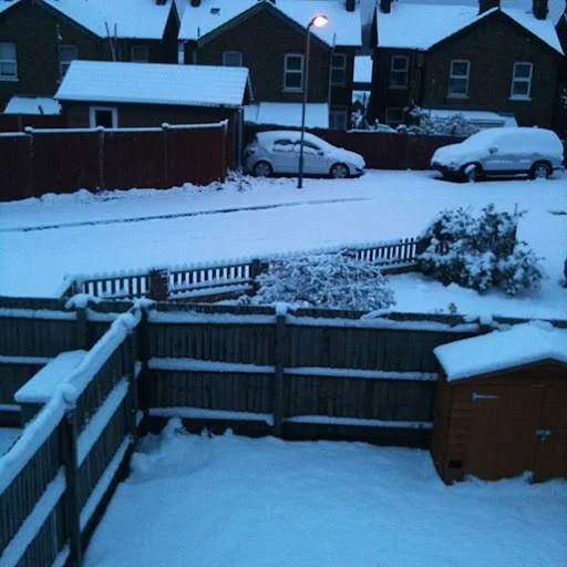 Waking up to a world of snow