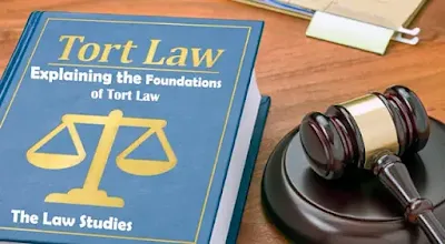 Key Legal Principles in Tort Law