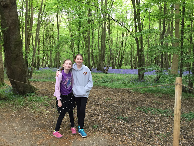 Stephs Two Girls in Bluebell wood