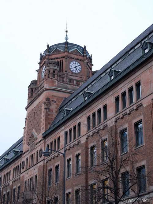 _DSC0220cp