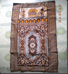 DSCN0566