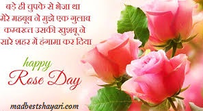 Rose Day Images