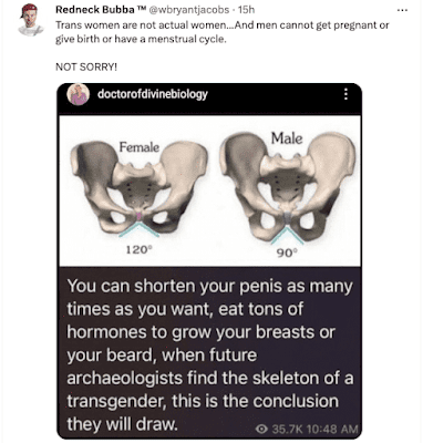 Tweet by Redneck Bubba: Trans women are not actual women...And men cannot get pregnant or give birth or have a menstrual cycle. NOT SORRY! Redneck Bubba is sharing a post from doctorofdivinebiology: You can shorten your penis as many times as you want, eat tons of hormones to grow your breasts or your beard, when future archaeologists find the skeleton of a transgender, this is the conclusion they will draw.