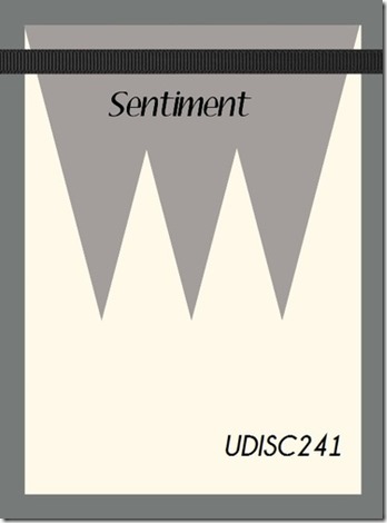 udisc241sketch