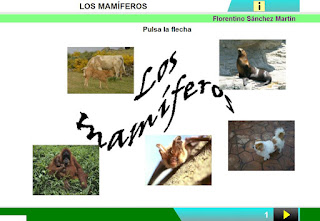 http://www.ceiploreto.es/sugerencias/cplosangeles.juntaextremadura.net/web/curso_3/naturales_3/mamiferos/mamiferos.html