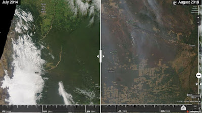 Incendios y deforestacion en Santa Cruz de la Sierra Bolivia