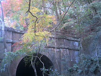 トンネルを背景にグラデーションもみじ