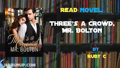 Three's a Crowd, Mr. Bolton Novel