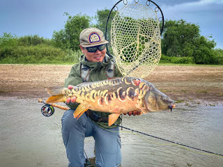 Mirror Carp, Carp on the Fly, Fly fishing for Carp, Fly Fishing