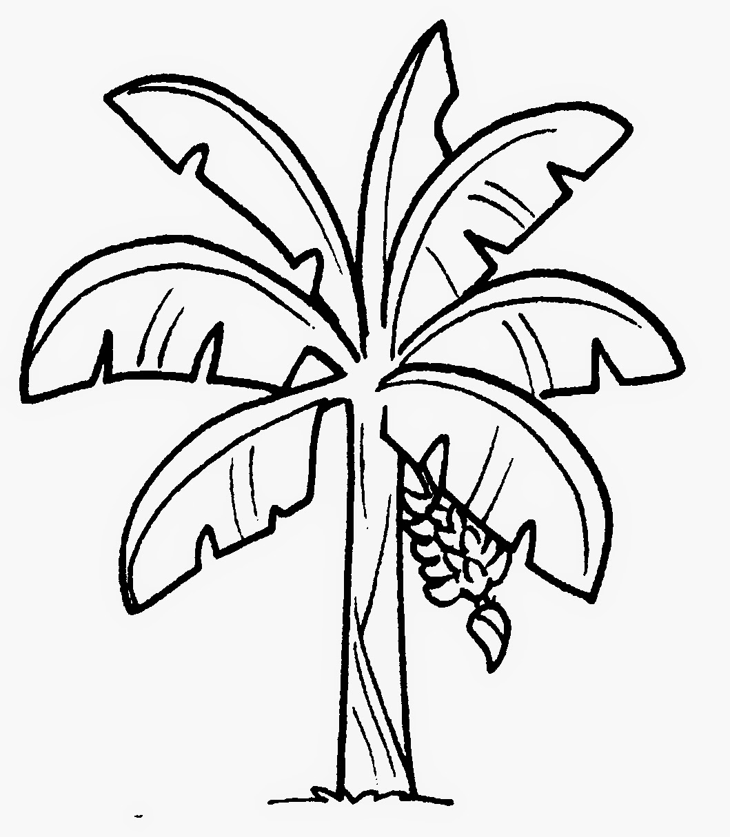 Gambar Hitam Putih Drawing Bunga Pokok