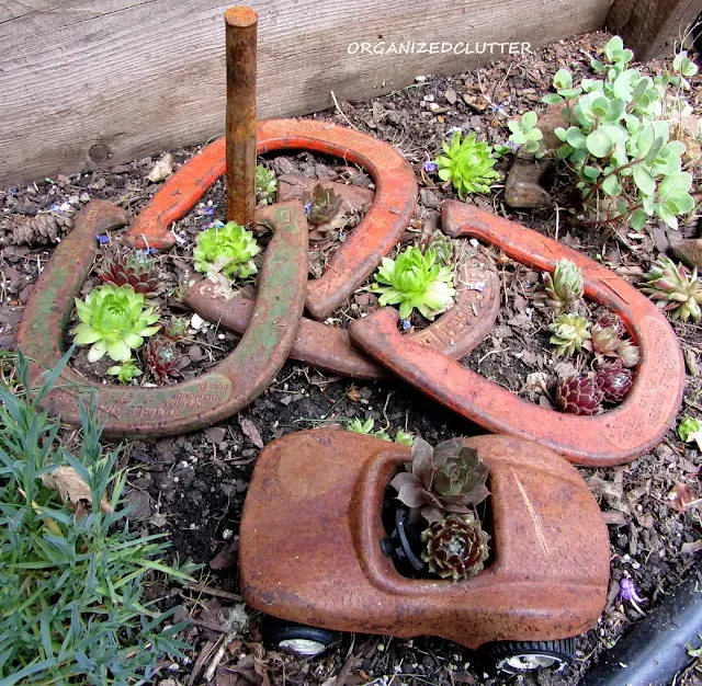 Photo of horseshoe game succulent planter.