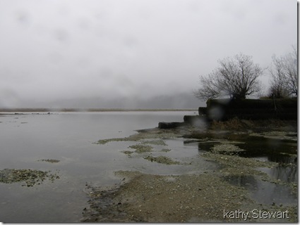 another rainy day
