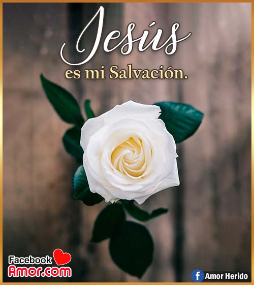 Jesús mi salvación