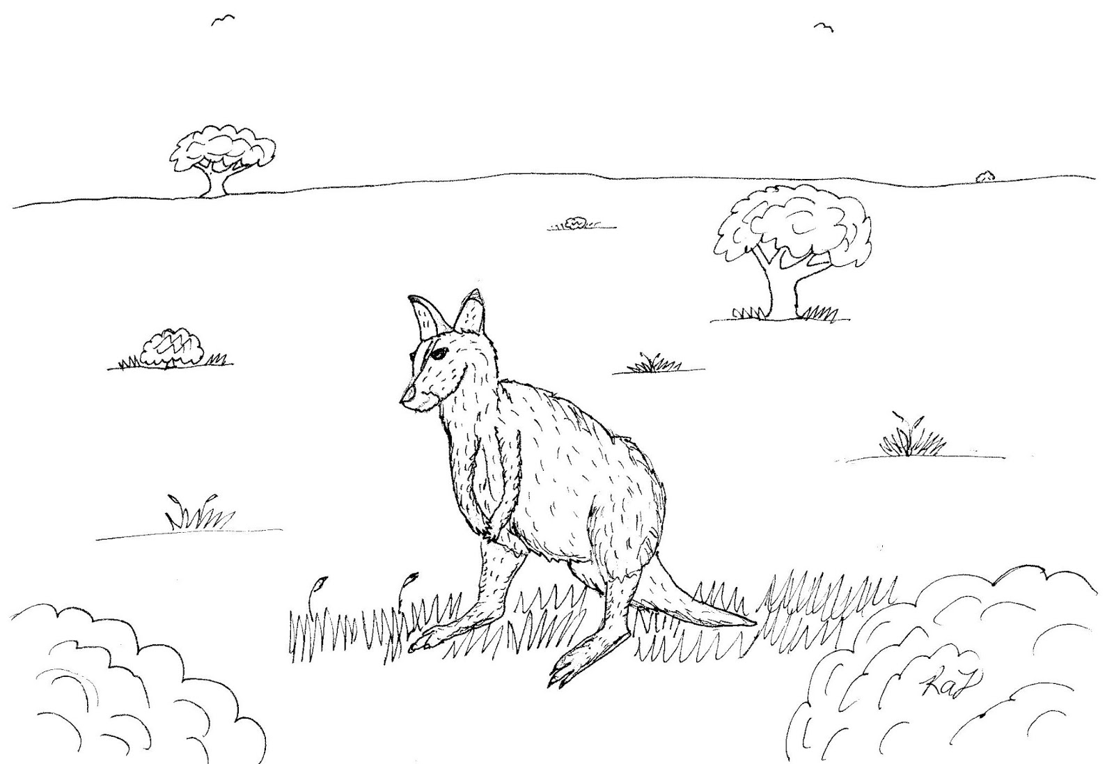 Robin's Great Coloring Pages: Wallaby