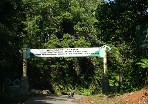  Flora  dan  Fauna  Taman Nasional Bukit Barisan Selatan 