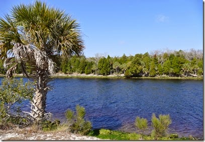 bev_hills_withlacoochee_bay_trail_scenery