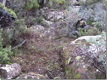 Site A   view east after