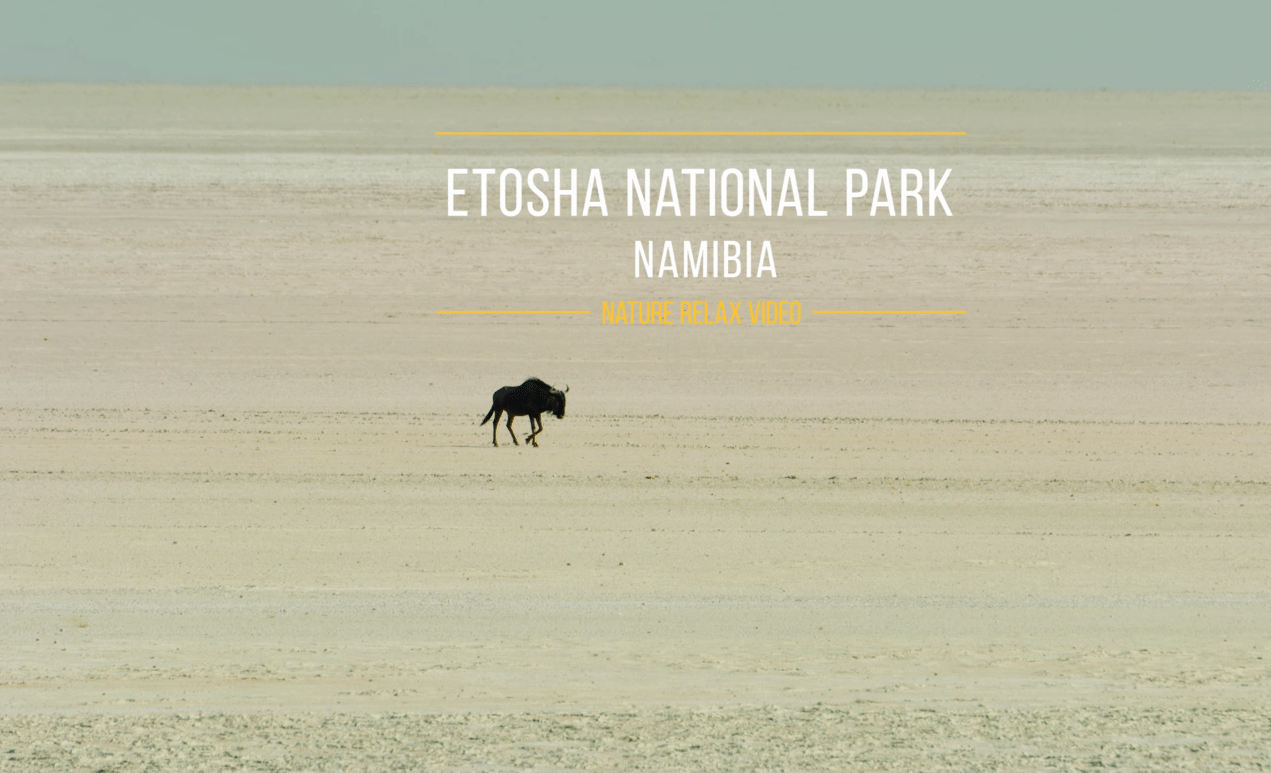 Etosha National Park | Namibia