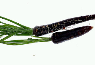 Black Carrots