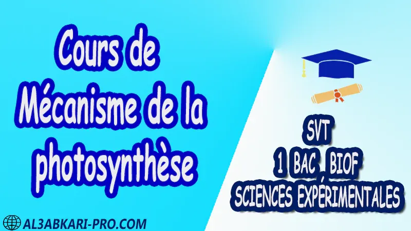 Cours de Mécanisme de la photosynthèse - SVT 1 ère Bac Sciences Expérimentales biof PDF Sciences de la Vie et de la Terre SVT 1 ère Bac Sciences Expérimentales biof Cours résumé devoirs corrigés exercice corrigé Documents Activités Fiche pédagogique Devoir de semestre 1 Devoirs de semestre 2 Exercices corrigés