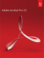 Adobe Acrobat Pro DC 2021.001.20135