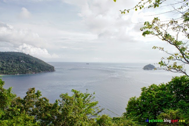 SONY DSC