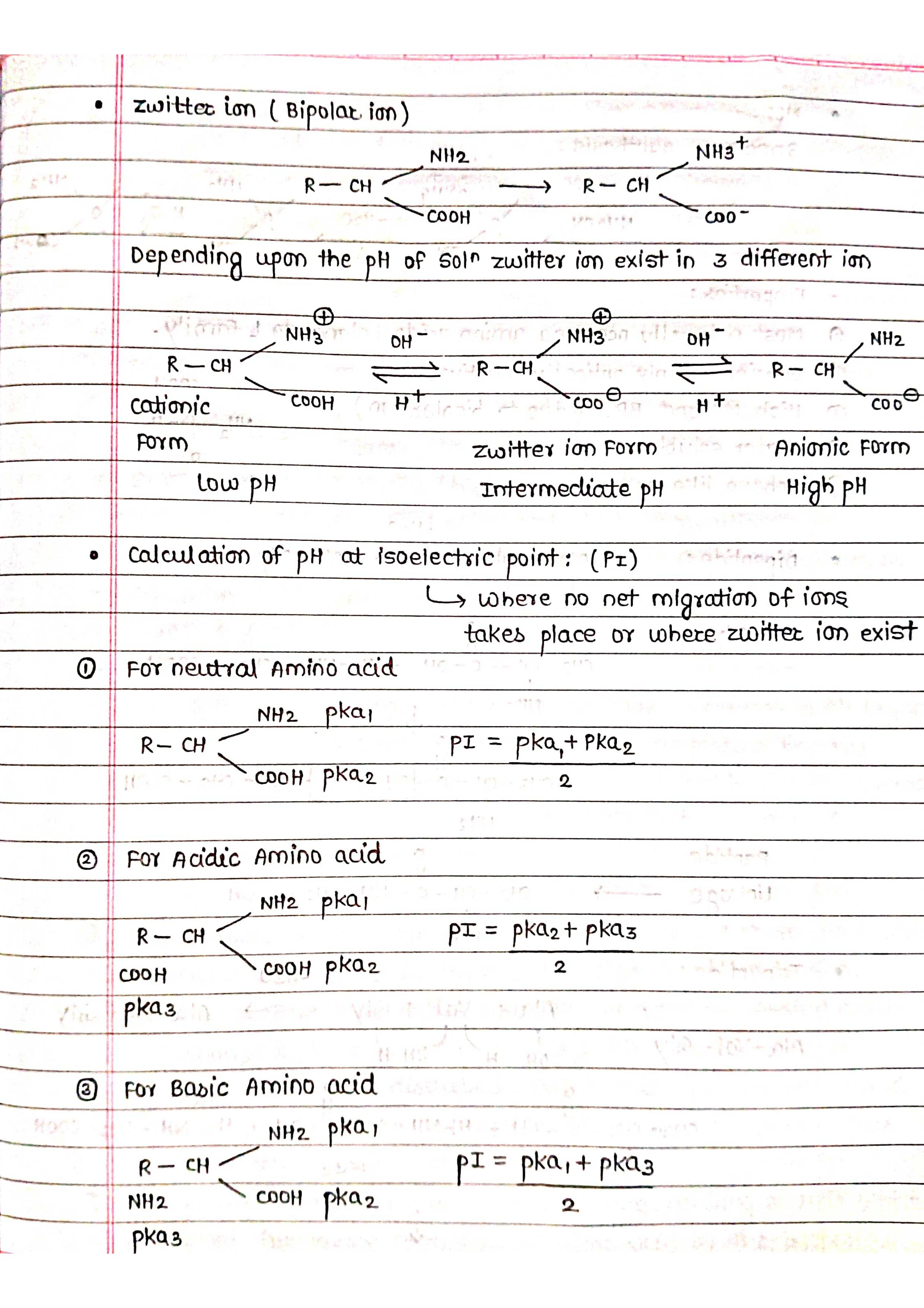 Handwritten Biomolecule - Short Notes 📚