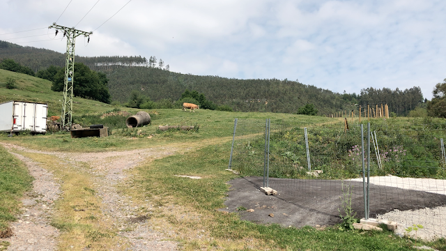 Paraje de Modorreta donde está el lindane