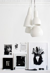 B&W feathers