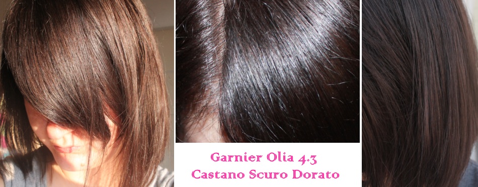 recensione garnier olia