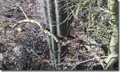 20160424_083618