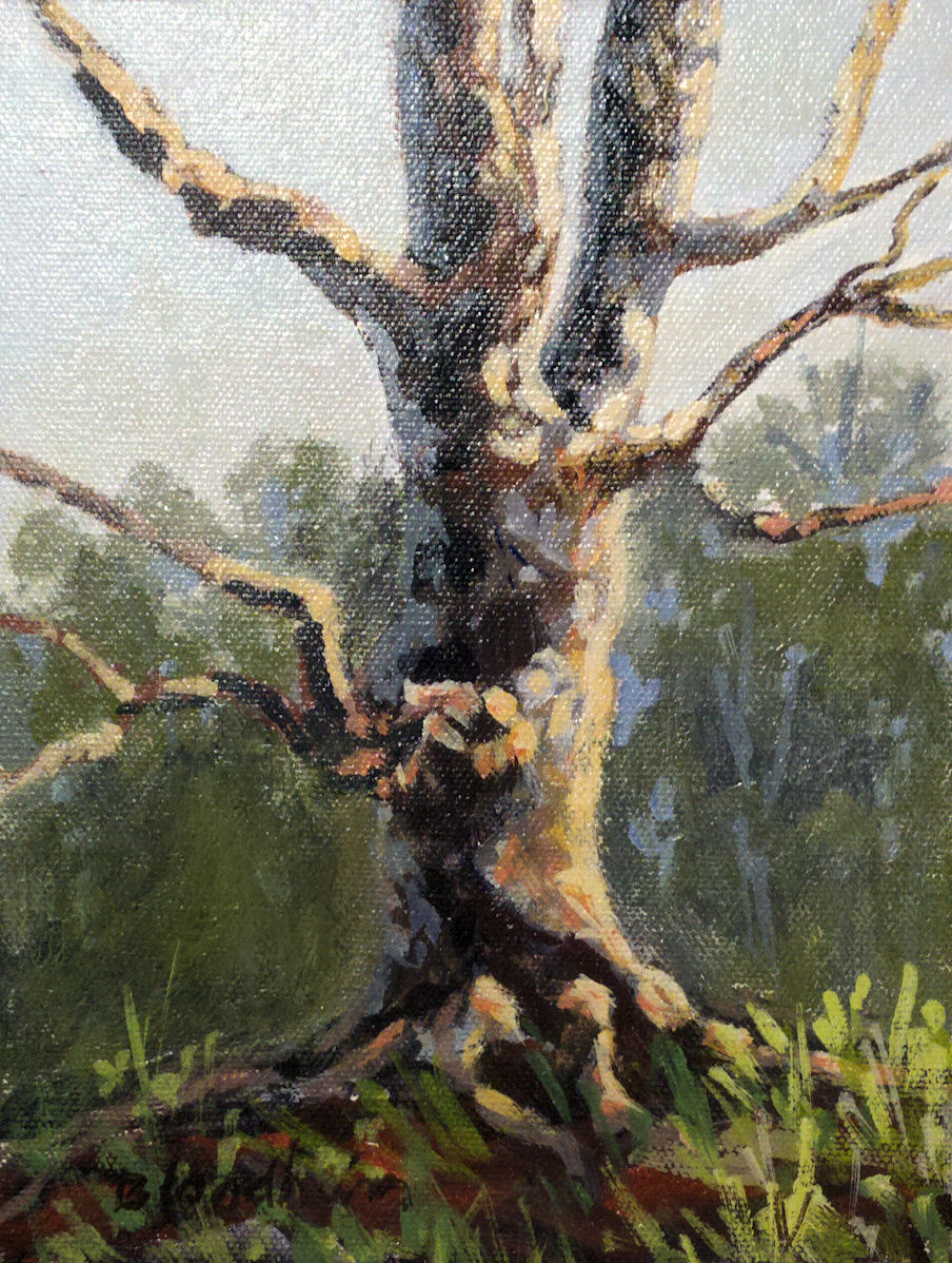 Oil Paintings Of Trees