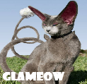 [glameow.png]