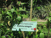 dye garden label